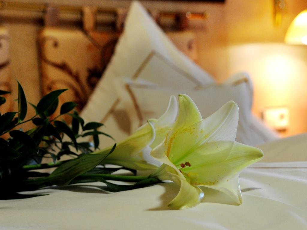 Wellness- Und Ferienhotel Waldesruh Bodenmais Oda fotoğraf